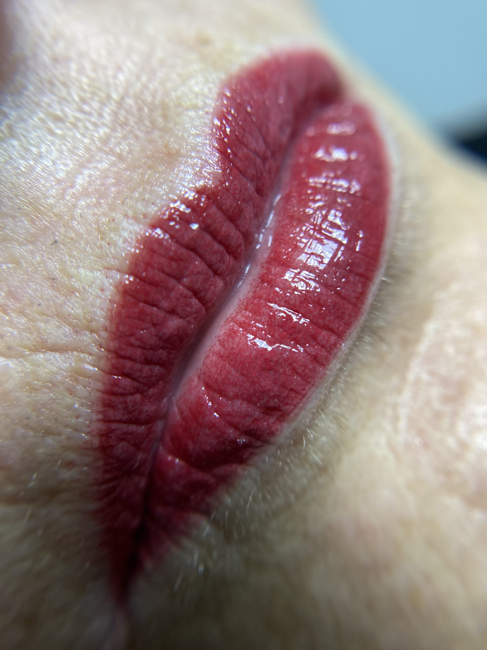 Labios 3 micropigmentacion